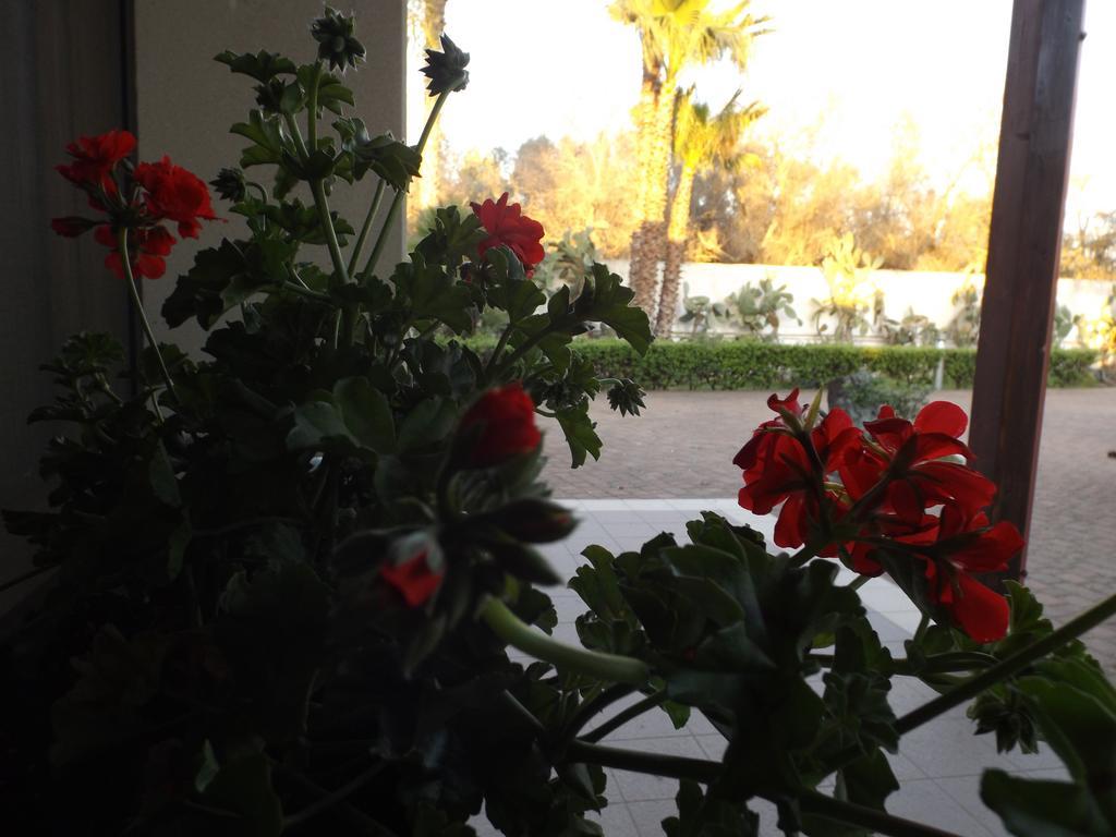 Villetta Del Salento Exclusive B&B Gallipoli Exterior photo